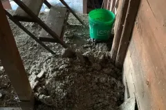 UCCELLI-MONDORAPACI-CIRIE-029-1920w