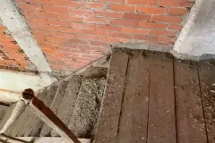 UCCELLI-MONDORAPACI-CIRIE-030-1920w