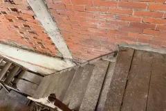 UCCELLI-MONDORAPACI-CIRIE-031-1920w