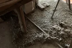 UCCELLI-MONDORAPACI-CIRIE-032-1920w