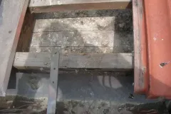 UCCELLI-MONDORAPACI-CIRIE-034-1920w