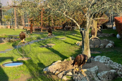 155475048440b4c376cc529d5d0de6ba