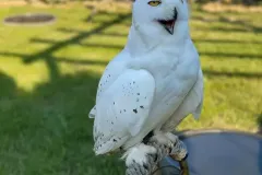 92758049_2842316699139425_1847782943209029632_n-1920w