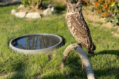 92810779_2842316742472754_3207571401598828544_n-1920w