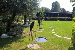 UCCELLI-MONDORAPACI-CIRIE-051-1920w