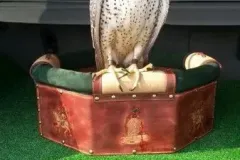 UCCELLI-MONDORAPACI-CIRIE-020-1920w