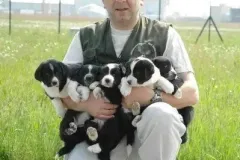 UCCELLI-MONDORAPACI-CIRIE-023-1920w